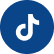 tiktok icon